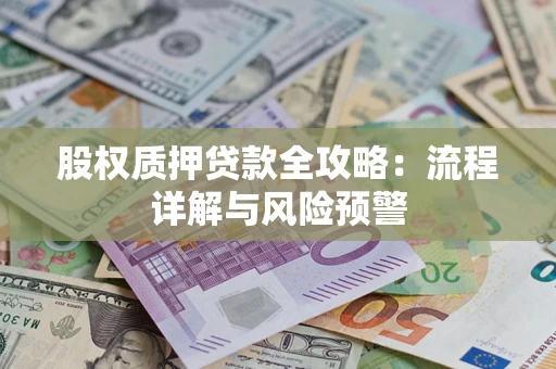 北京股权质押贷款全攻略：流程详解与风险预警