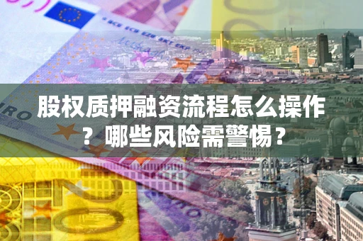 北京股权质押融资流程怎么操作？哪些风险需警惕？
