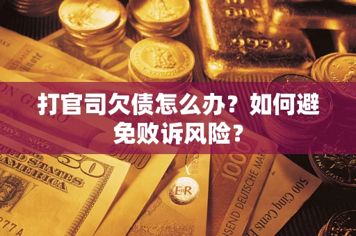 北京打官司欠债怎么办？如何避免败诉风险？