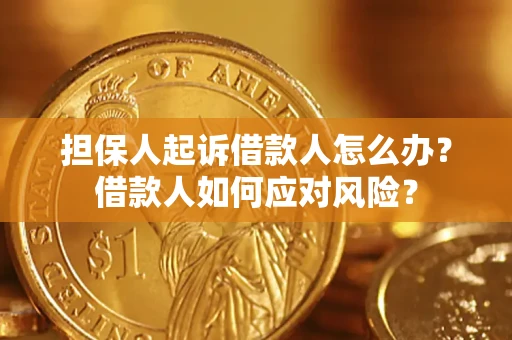 北京担保人起诉借款人怎么办？借款人如何应对风险？